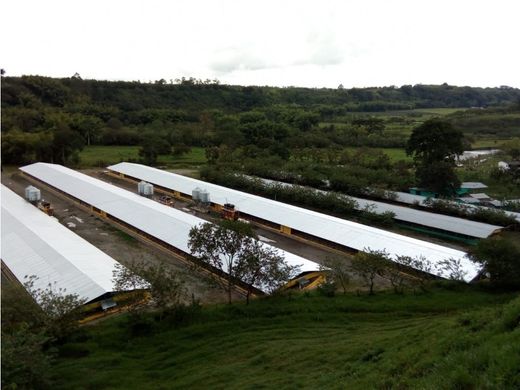 전원/농가 / Montenegro, Quindío Department