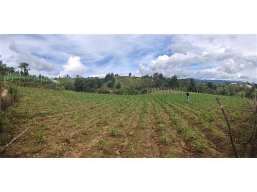 Land in Marinilla, Departamento de Antioquia