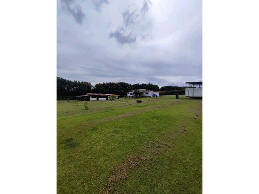 토지 / Rionegro, Departamento de Antioquia