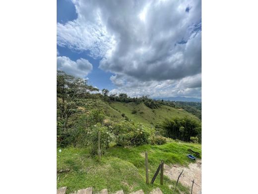 Αγροτεμάχιο σε Marinilla, Departamento de Antioquia