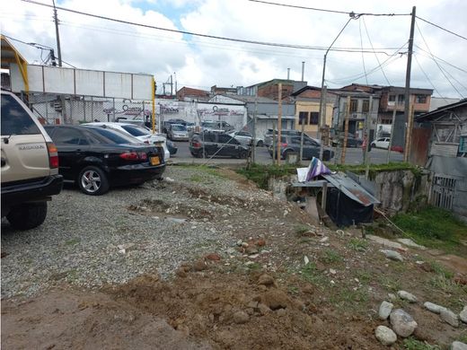 Arsa Armenia, Quindío Department