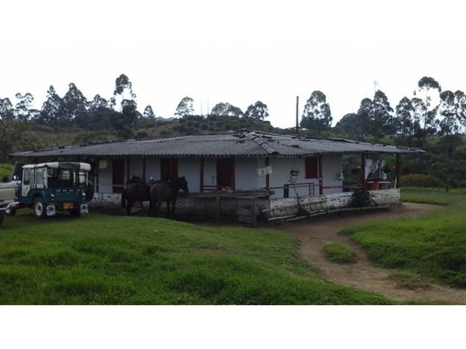 ﻣﻨﺰﻝ ﺭﻳﻔﻲ/ ﺑﻴﺖ ﻤﺰﺭﻋﺔ ﻓﻲ Circasia, Quindío Department