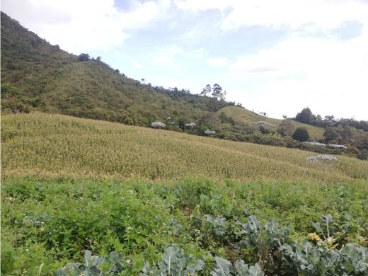 Grundstück in Carmen de Viboral, El Carmen de Viboral
