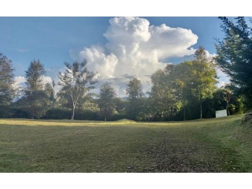 Land in Rionegro, Departamento de Antioquia