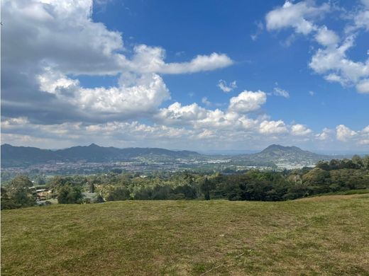 토지 / La Ceja, Departamento de Antioquia