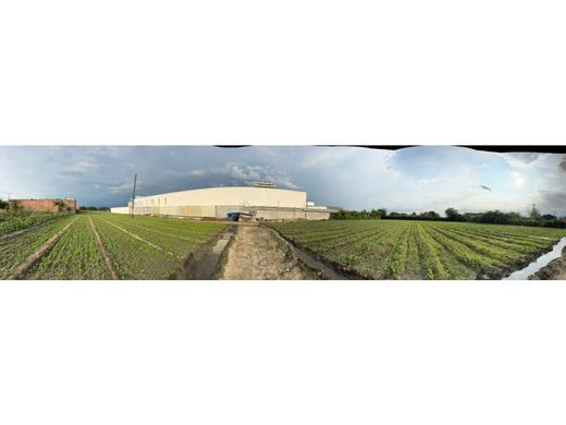 ‏קרקע ב  Palmira, Departamento del Valle del Cauca