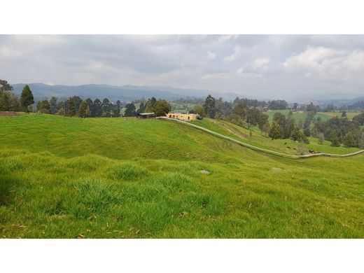 Terreno a San Pedro, San Pedro de los Milagros