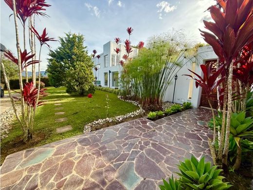 호화 저택 / Rionegro, Departamento de Antioquia