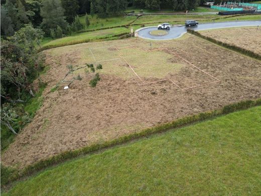Arsa Envigado, Departamento de Antioquia