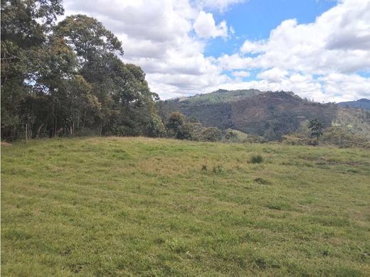 أرض ﻓﻲ Rionegro, Departamento de Antioquia