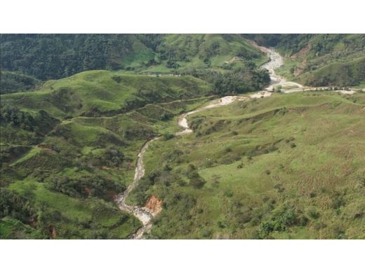 Ferme à San Roque, Departamento de Antioquia