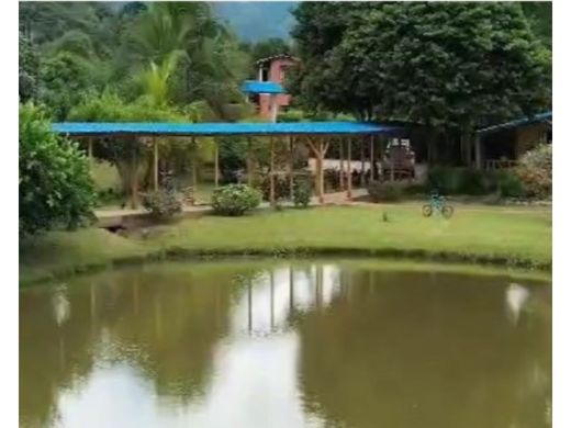 Rustico o casale a La Mesa, Chaguaní