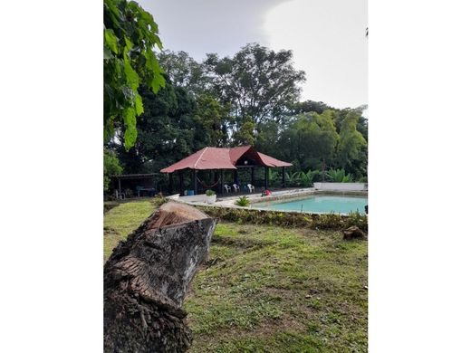 ﻣﻨﺰﻝ ﺭﻳﻔﻲ/ ﺑﻴﺖ ﻤﺰﺭﻋﺔ ﻓﻲ Sopetrán, Liborina