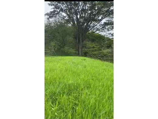 Arsa Amagá, Departamento de Antioquia