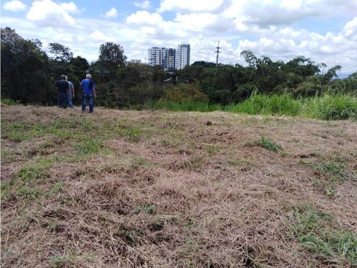 Arsa Armenia, Quindío Department