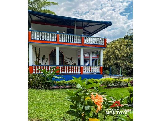 ﻣﻨﺰﻝ ﺭﻳﻔﻲ/ ﺑﻴﺖ ﻤﺰﺭﻋﺔ ﻓﻲ Manizales, Departamento de Caldas