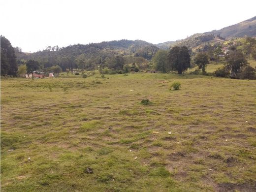 Teren w Caldas, Departamento de Antioquia