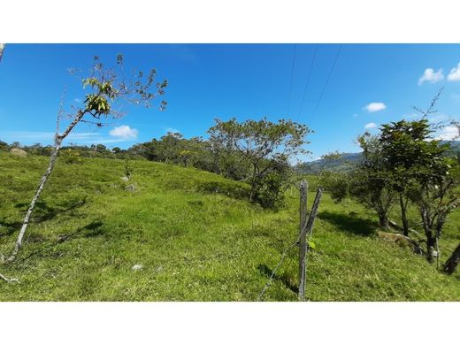 Land in Barbosa, Departamento de Santander