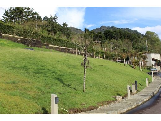 ‏קרקע ב  מדיין
, Medellín