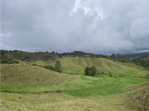 Grundstück in La Ceja, Departamento de Antioquia