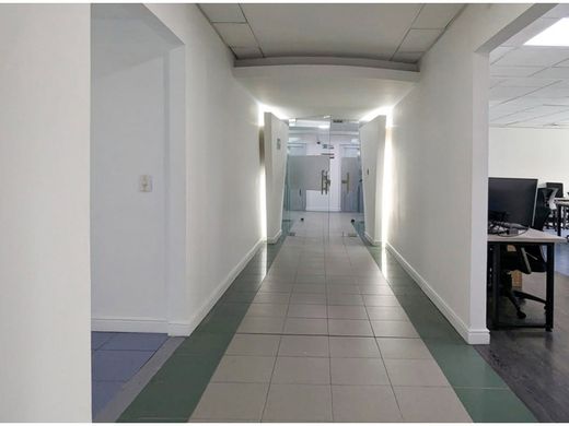 사무실 / 메데인, Medellín