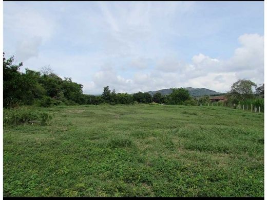 أرض ﻓﻲ Manizales, Departamento de Caldas