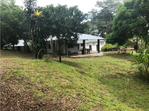 Cortijo o casa de campo en Carmen de Apicalá, Departamento de Tolima