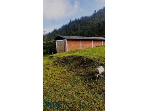 Αγροτεμάχιο σε Caldas, Departamento de Antioquia