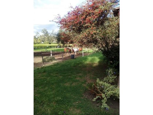 أرض ﻓﻲ Chía, Departamento de Cundinamarca