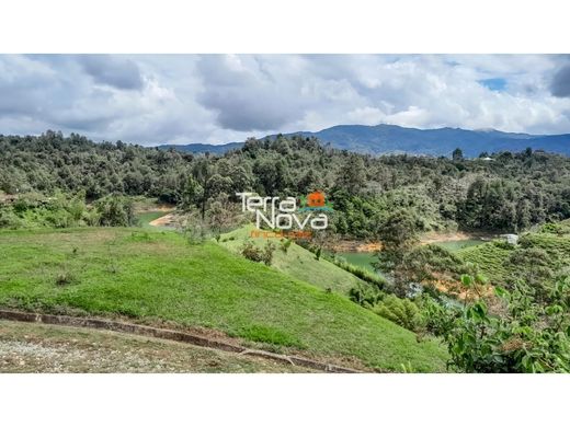 토지 / Guatapé, Departamento de Antioquia