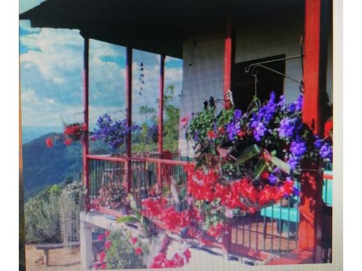 Farmhouse in Pijao, Quindío Department