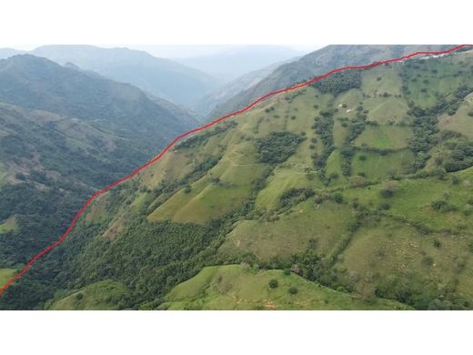 村舍/农舍  Armenia, Quindío Department