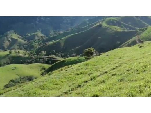 Quinta rústica - Maceo, Departamento de Antioquia