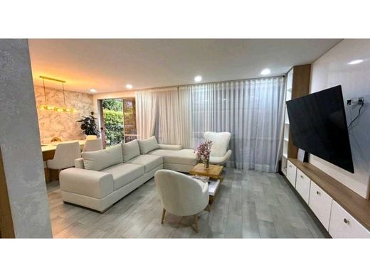 호화 저택 / 메데인, Medellín