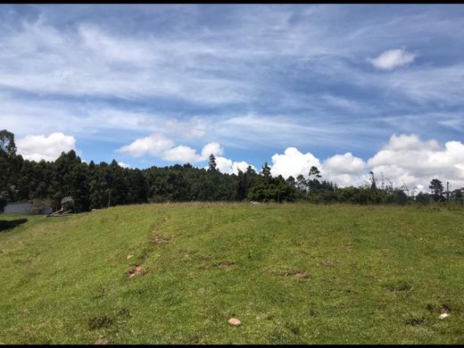 Grundstück in Rionegro, Departamento de Antioquia