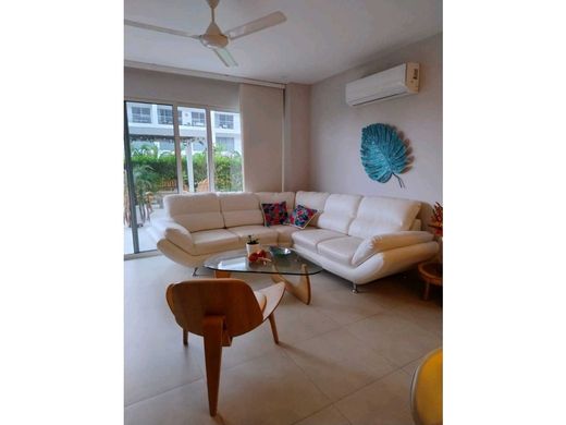 Daire Cartagena, Cartagena de Indias