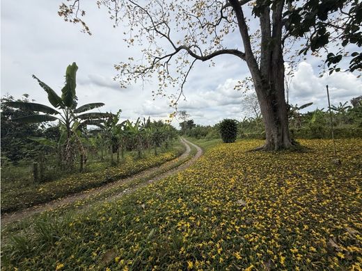 Terrain à Armenia, Quindío Department