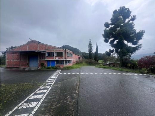 Arsa Manizales, Departamento de Caldas