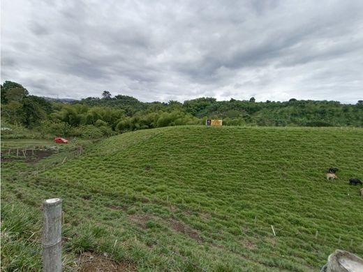 Land in Quimbaya, Quindío Department