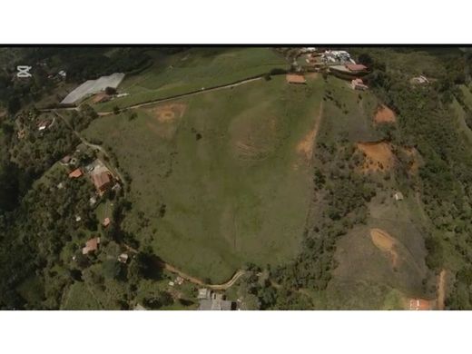 Arsa Guarne, Departamento de Antioquia