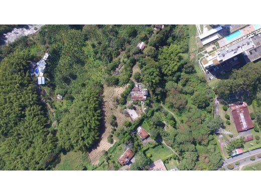 Arsa Armenia, Quindío Department