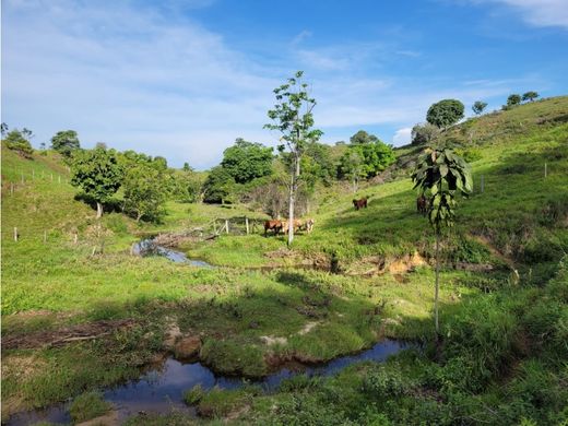 Puerto Berrío, Departamento de Antioquiaのカントリー風またはファームハウス