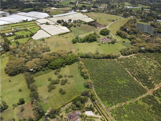 Rionegro, Departamento de Antioquiaの土地