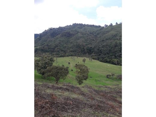 Ferme à Salento, Quindío Department