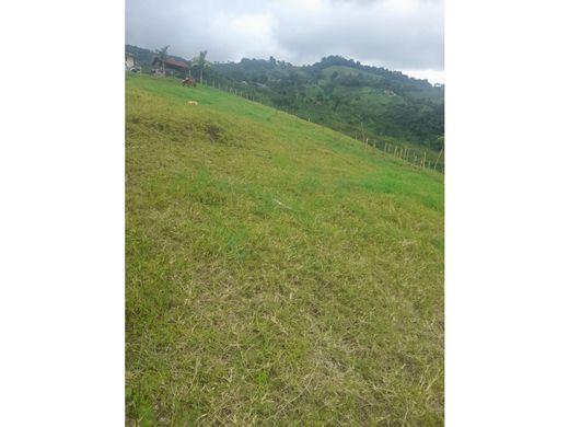 Boerderij in Pereira, Departamento de Risaralda