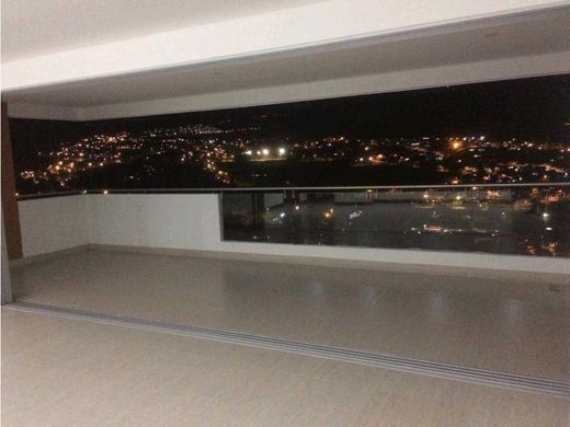 Daire Cali, Departamento del Valle del Cauca