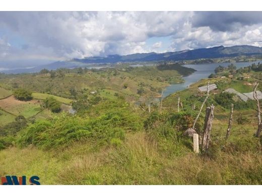 ‏קרקע ב  El Peñol, Yarumal