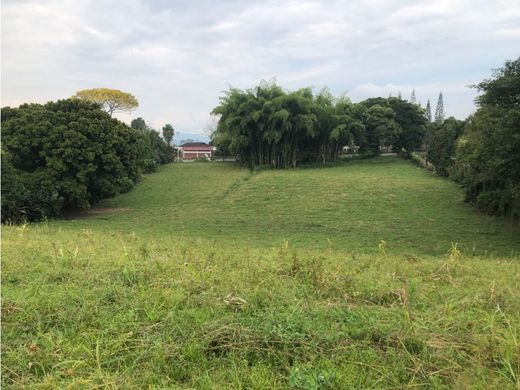 Land in Armenia, Quindío Department