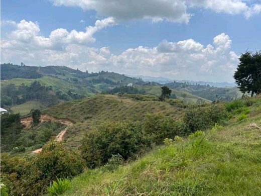 ﻣﻨﺰﻝ ﺭﻳﻔﻲ/ ﺑﻴﺖ ﻤﺰﺭﻋﺔ ﻓﻲ San Vicente, San Vicente Ferrer