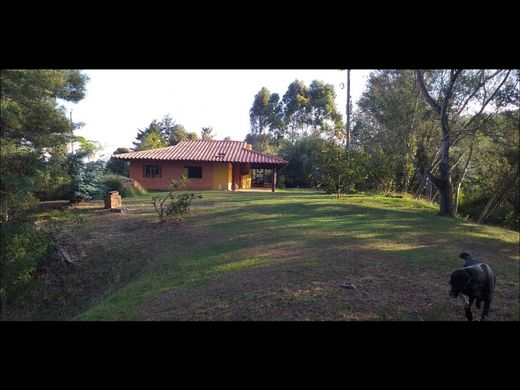 Αγροτεμάχιο σε Μεδεγίν, Medellín